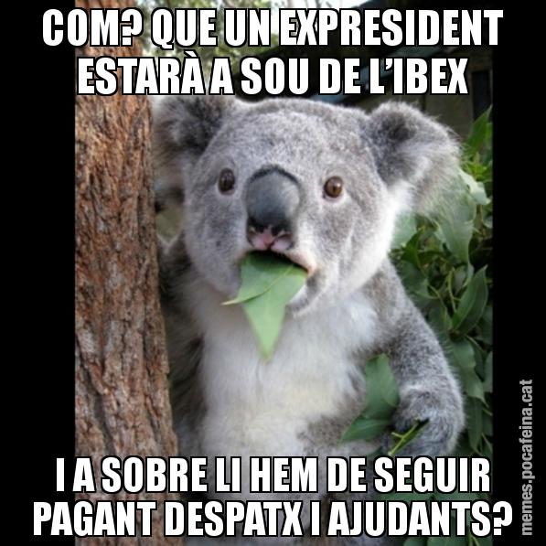 COM? QUE UN EXPRESIDENT ESTARÀ A SOU DE L’IBEX I A SOBRE LI HEM DE SEGUIR PAGANT DESPATX I AJUDANTS? - Koala Cant Believe It