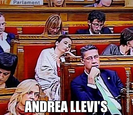 ANDREA LLEVI'S
