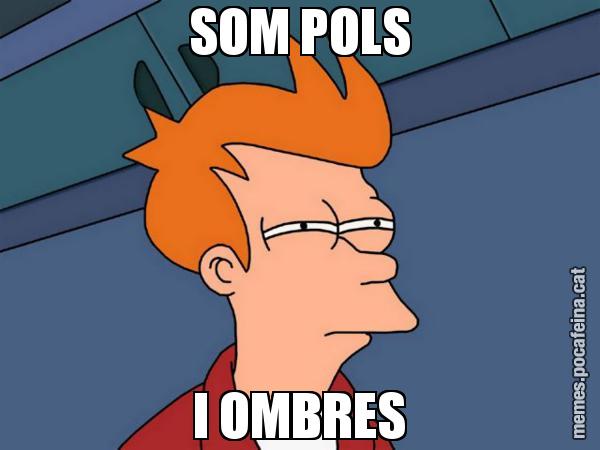 SOM POLS I OMBRES - Futurama Fry