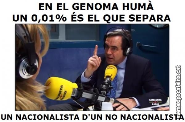 Meme plaoln