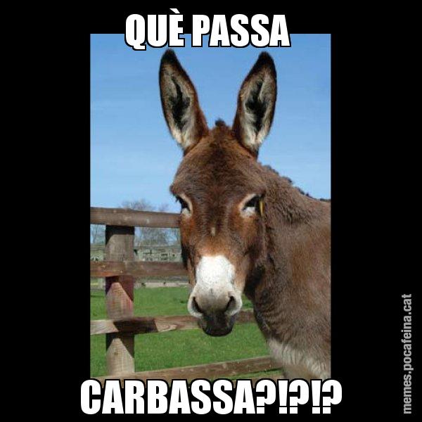 QUÈ PASSA  CARBASSA?!?!? - El burro Català