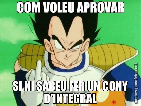 COM VOLEU APROVAR SI NI SABEU FER UN CONY D'INTEGRAL - Vegeta