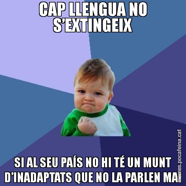CAP LLENGUA NO S’EXTINGEIX SI AL SEU PAÍS NO HI TÉ UN MUNT D’INADAPTATS QUE NO LA PARLEN MAI - Success Kid