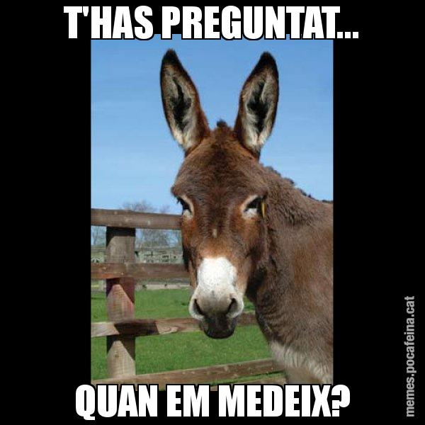 T'HAS PREGUNTAT... QUAN EM MEDEIX? - El burro Català