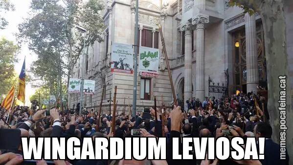 WINGARDIUM LEVIOSA!