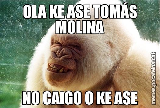 OLA KE ASE TOMÁS MOLINA NO CAIGO O KE ASE