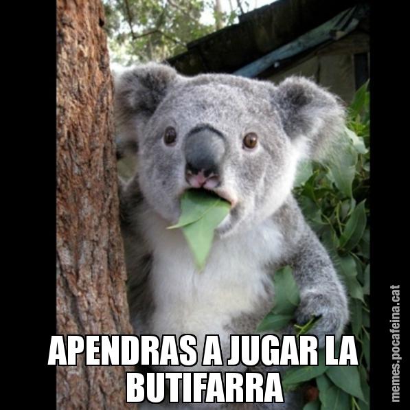 APENDRAS A JUGAR LA BUTIFARRA - Koala Cant Believe It