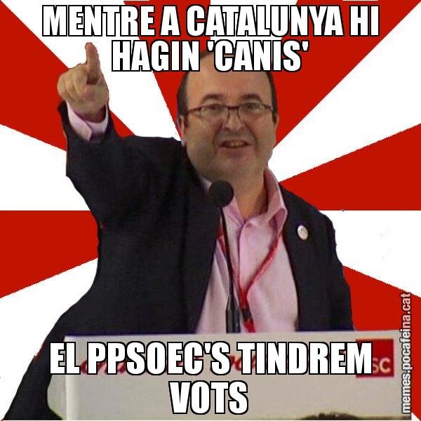 MENTRE A CATALUNYA HI HAGIN 'CANIS' EL PPSOEC'S TINDREM VOTS - Miquel Iceta