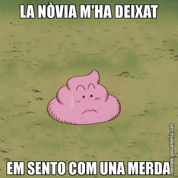 LA NÒVIA M'HA DEIXAT EM SENTO COM UNA MERDA - Caca