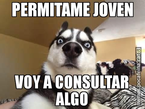 PERMITAME JOVEN VOY A CONSULTAR ALGO