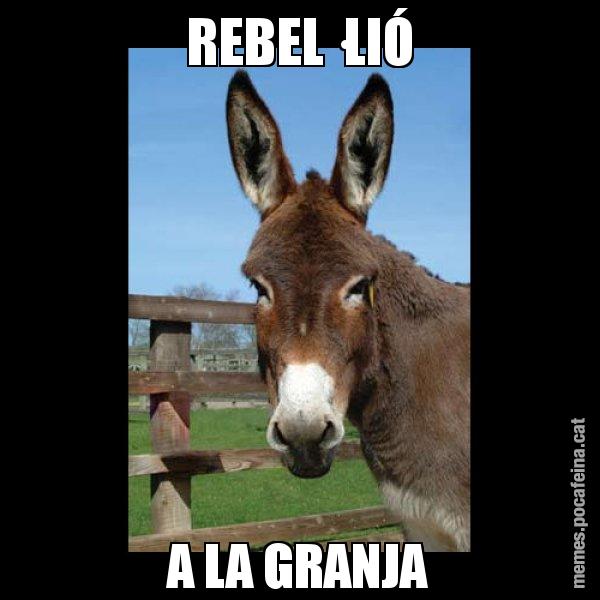 REBEL·LIÓ A LA GRANJA - El burro Català