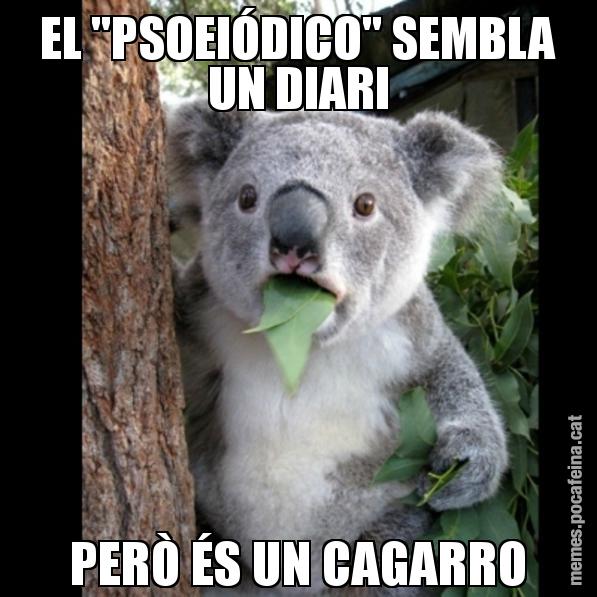EL "PSOEIÓDICO" SEMBLA UN DIARI PERÒ ÉS UN CAGARRO - Koala Cant Believe It