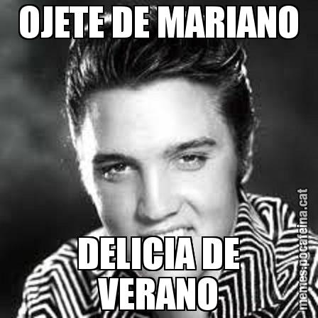 OJETE DE MARIANO DELICIA DE VERANO