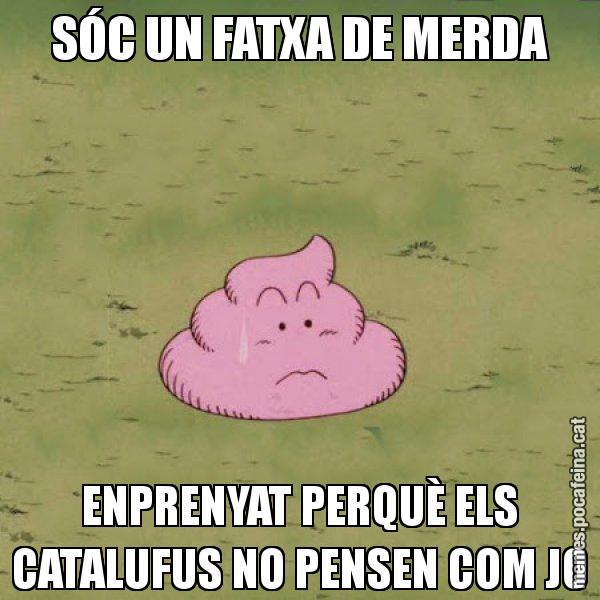 SÓC UN FATXA DE MERDA ENPRENYAT PERQUÈ ELS CATALUFUS NO PENSEN COM JO - Caca