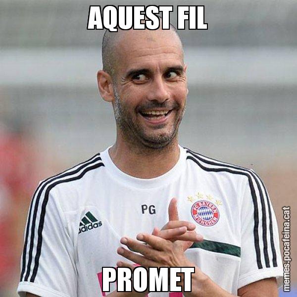 AQUEST FIL PROMET - Guardiola Boig