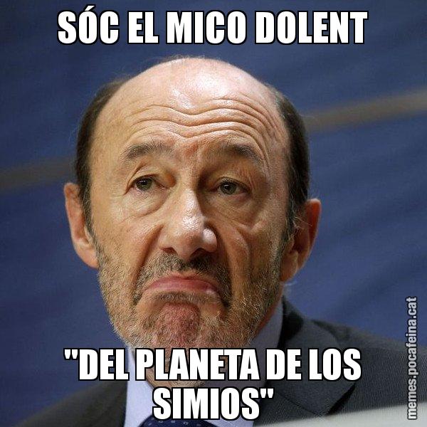 SÓC EL MICO DOLENT "DEL PLANETA DE LOS SIMIOS" - Rubalcaba