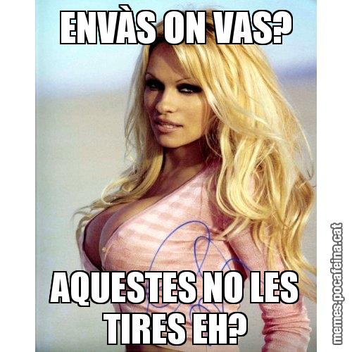 ENVÀS ON VAS? AQUESTES NO LES TIRES EH?
