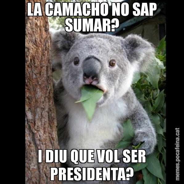 LA CAMACHO NO SAP SUMAR? I DIU QUE VOL SER PRESIDENTA? - Koala Cant Believe It
