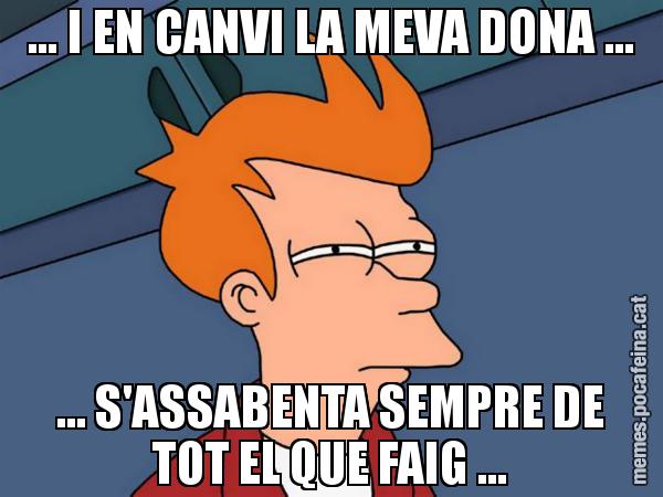 ... I EN CANVI LA MEVA DONA ... ... S'ASSABENTA SEMPRE DE TOT EL QUE FAIG ... - Futurama Fry