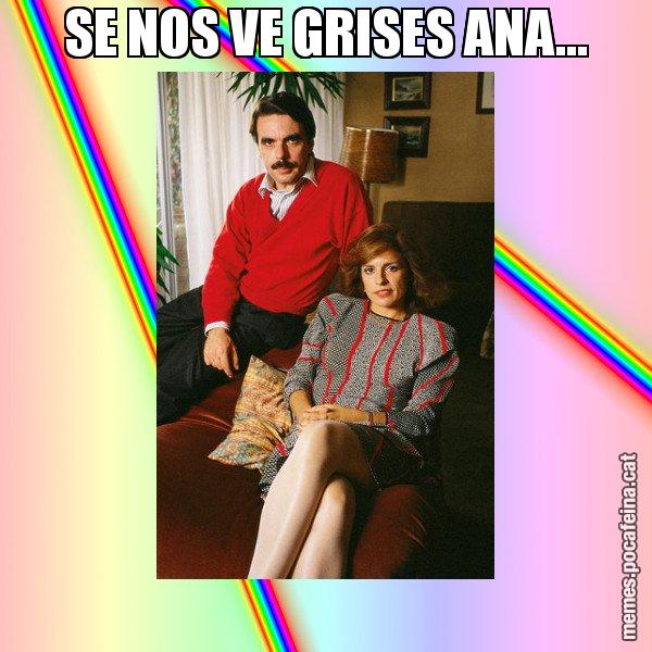 SE NOS VE GRISES ANA... - La Familia Ansar