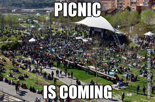 PICNIC IS COMING