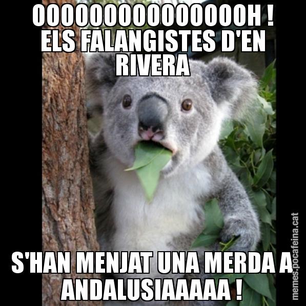 OOOOOOOOOOOOOOOH ! ELS FALANGISTES D'EN RIVERA S'HAN MENJAT UNA MERDA A ANDALUSIAAAAA ! - Koala Cant Believe It