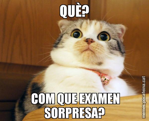 QUÈ?  COM QUE EXAMEN SORPRESA?