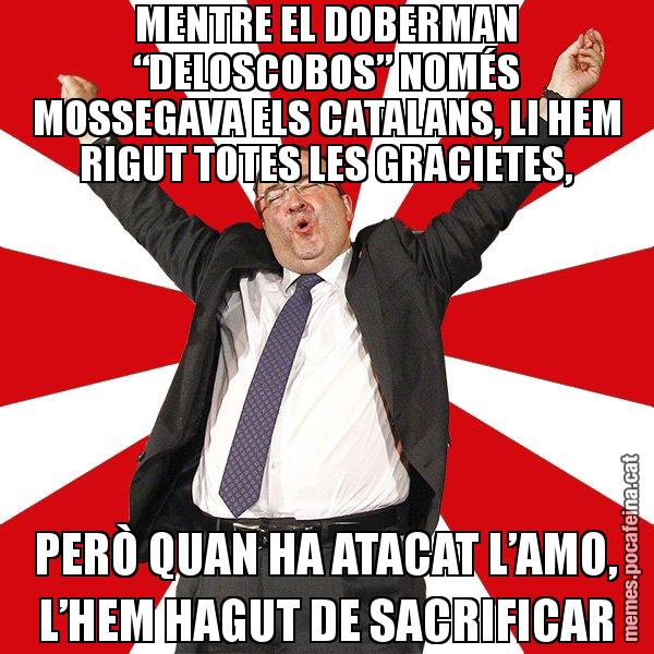MENTRE EL DOBERMAN “DELOSCOBOS” NOMÉS MOSSEGAVA ELS CATALANS, LI HEM RIGUT TOTES LES GRACIETES, PERÒ QUAN HA ATACAT L’AMO, L’HEM HAGUT DE SACRIFICAR - Miquel Iceta - 27S