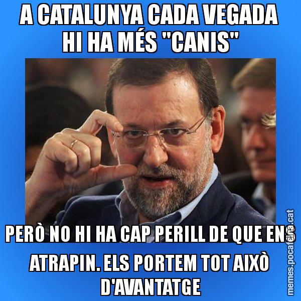 A CATALUNYA CADA VEGADA HI HA MÉS "CANIS" PERÒ NO HI HA CAP PERILL DE QUE ENS ATRAPIN. ELS PORTEM TOT AIXÒ D'AVANTATGE - Rajoy titola
