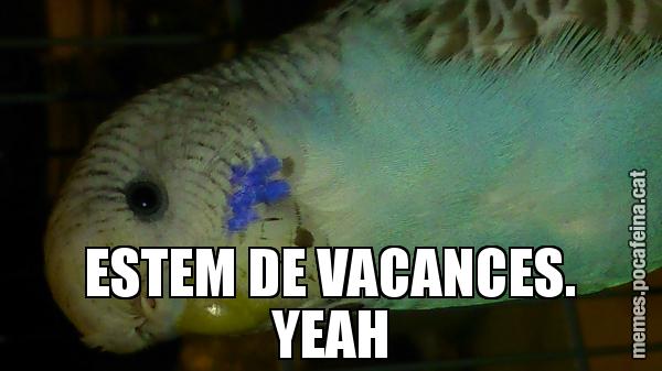 ESTEM DE VACANCES. YEAH