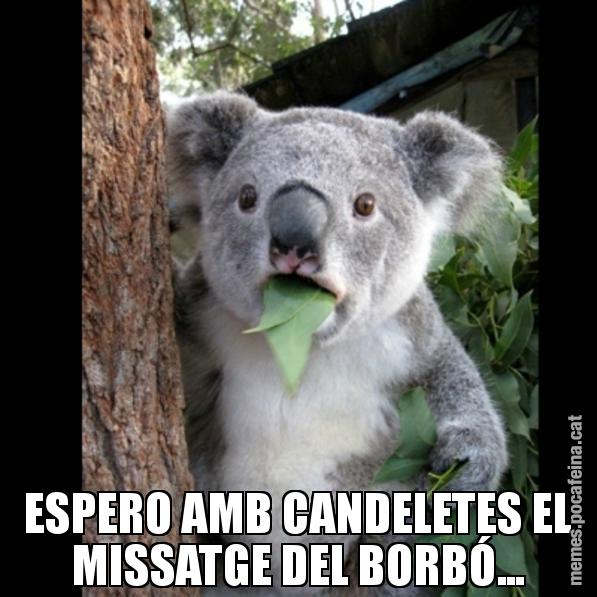 ESPERO AMB CANDELETES EL MISSATGE DEL BORBÓ... - Koala Cant Believe It