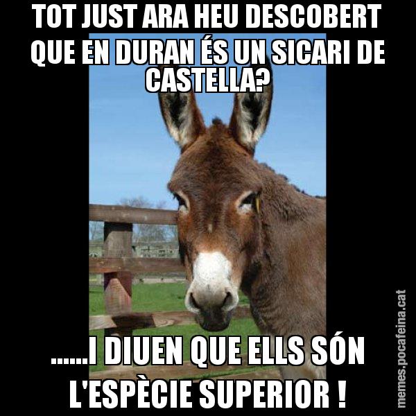 TOT JUST ARA HEU DESCOBERT QUE EN DURAN ÉS UN SICARI DE CASTELLA? ......I DIUEN QUE ELLS SÓN L'ESPÈCIE SUPERIOR ! - El burro Català