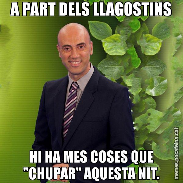 A PART DELS LLAGOSTINS HI HA MES COSES QUE "CHUPAR" AQUESTA NIT. - Tomàs Molina