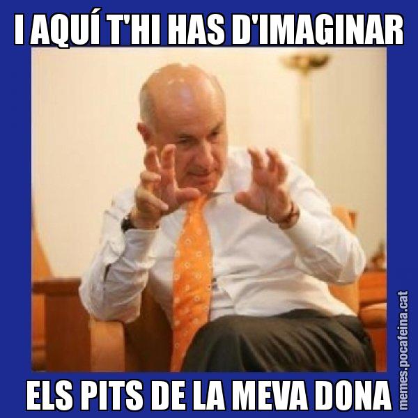 I AQUÍ T'HI HAS D'IMAGINAR ELS PITS DE LA MEVA DONA - Duran i Lleida