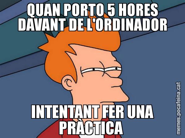 QUAN PORTO 5 HORES DAVANT DE L'ORDINADOR INTENTANT FER UNA PRÀCTICA - Futurama Fry