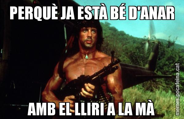 PERQUÈ JA ESTÀ BÉ D'ANAR AMB EL LLIRI A LA MÀ