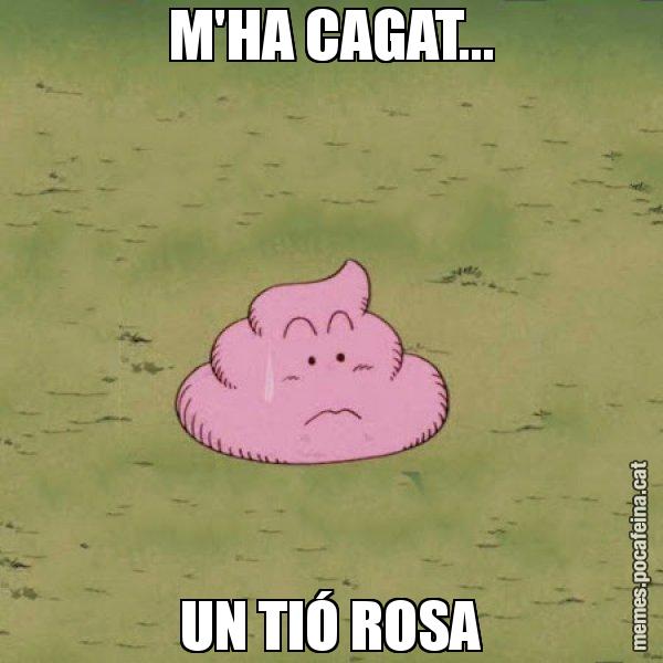 M'HA CAGAT... UN TIÓ ROSA - Caca