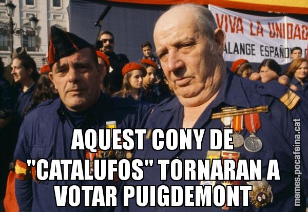 AQUEST CONY DE "CATALUFOS" TORNARAN A VOTAR PUIGDEMONT