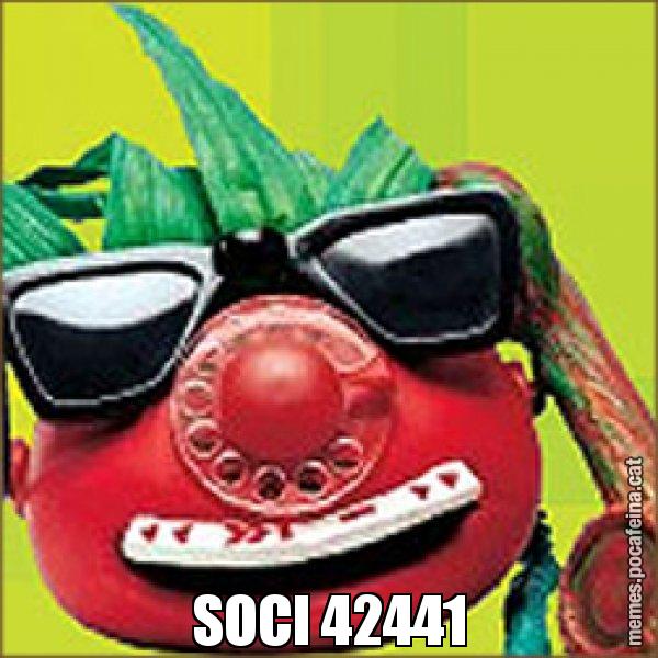 SOCI 42441 - Tomàtic