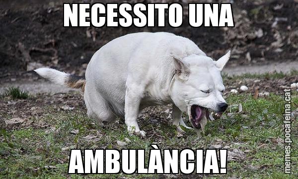 NECESSITO UNA AMBULÀNCIA!