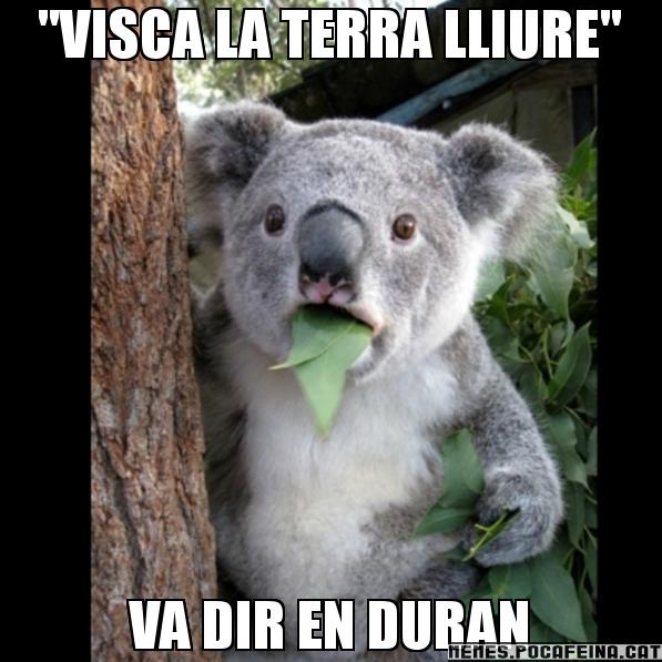 "VISCA LA TERRA LLIURE" VA DIR EN DURAN - Koala Cant Believe It
