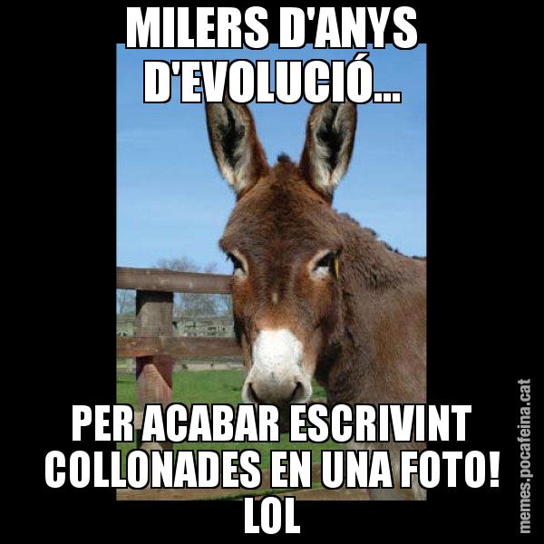 MILERS D'ANYS D'EVOLUCIÓ... PER ACABAR ESCRIVINT COLLONADES EN UNA FOTO! LOL - El burro Català