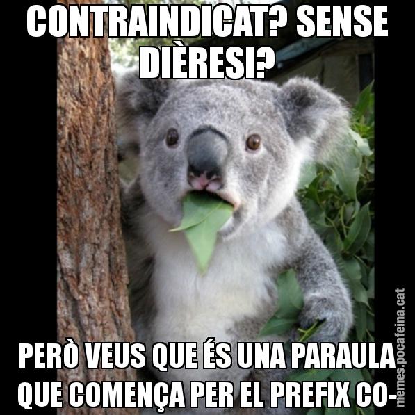 CONTRAINDICAT? SENSE DIÈRESI? PERÒ VEUS QUE ÉS UNA PARAULA QUE COMENÇA PER EL PREFIX CO- - Koala Cant Believe It