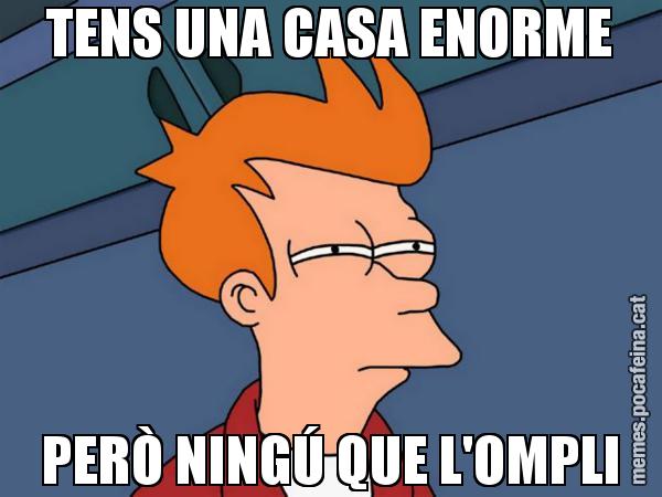 TENS UNA CASA ENORME PERÒ NINGÚ QUE L'OMPLI - Futurama Fry
