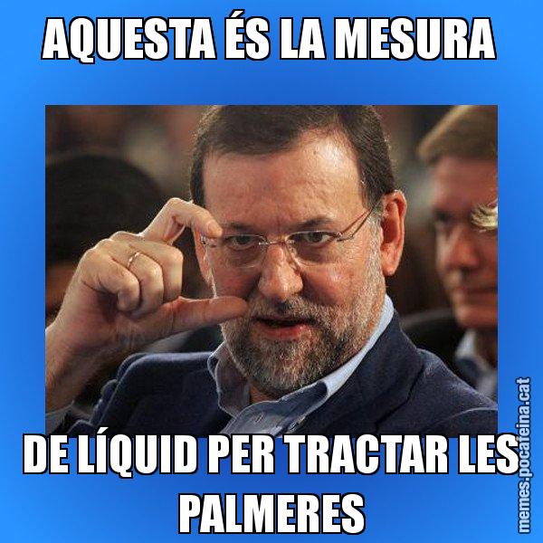 AQUESTA ÉS LA MESURA DE LÍQUID PER TRACTAR LES PALMERES - Rajoy titola