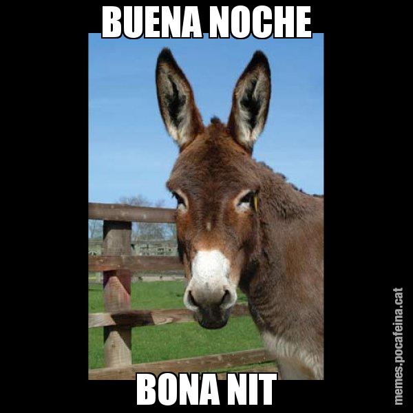 BUENA NOCHE BONA NIT - El burro Català