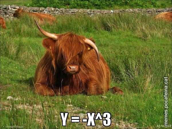 Y = -X^3