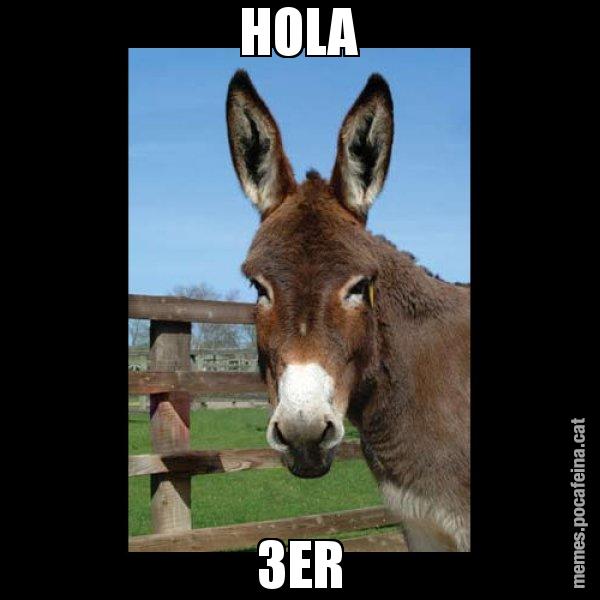 HOLA 3ER - El burro Català