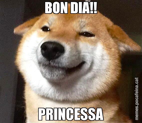 BON DIA!! PRINCESSA