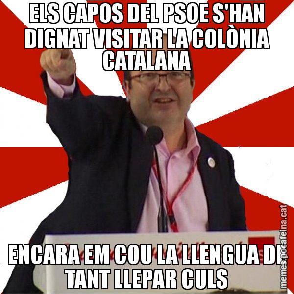 ELS CAPOS DEL PSOE S'HAN DIGNAT VISITAR LA COLÒNIA CATALANA ENCARA EM COU LA LLENGUA DE TANT LLEPAR CULS - Miquel Iceta